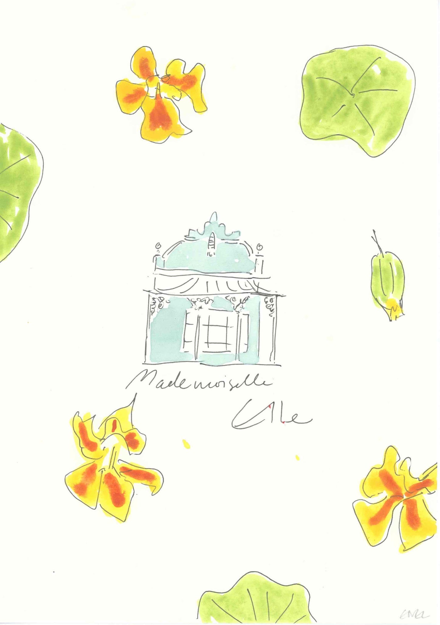 Kappertjies (Nasturtiums)