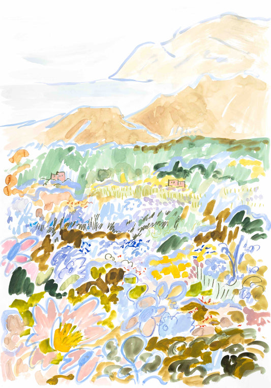 Mountains, Sea and Fynbos